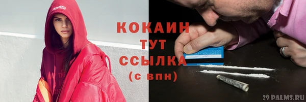 кокс Дмитриев