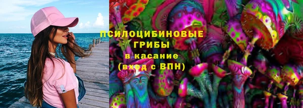 mdpv Дмитров