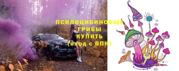 прущие крисы Дмитровск