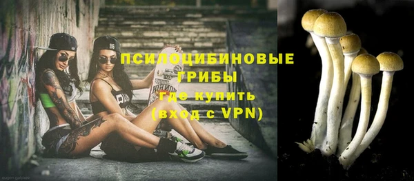 кокс Дмитриев