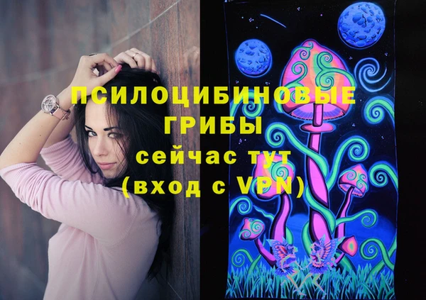 mdpv Дмитров