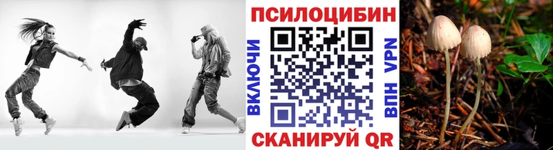 Галлюциногенные грибы Psilocybe Бабаево