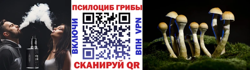 Купить закладки  Бабаево  Галлюциногенные грибы Psilocybine cubensis 